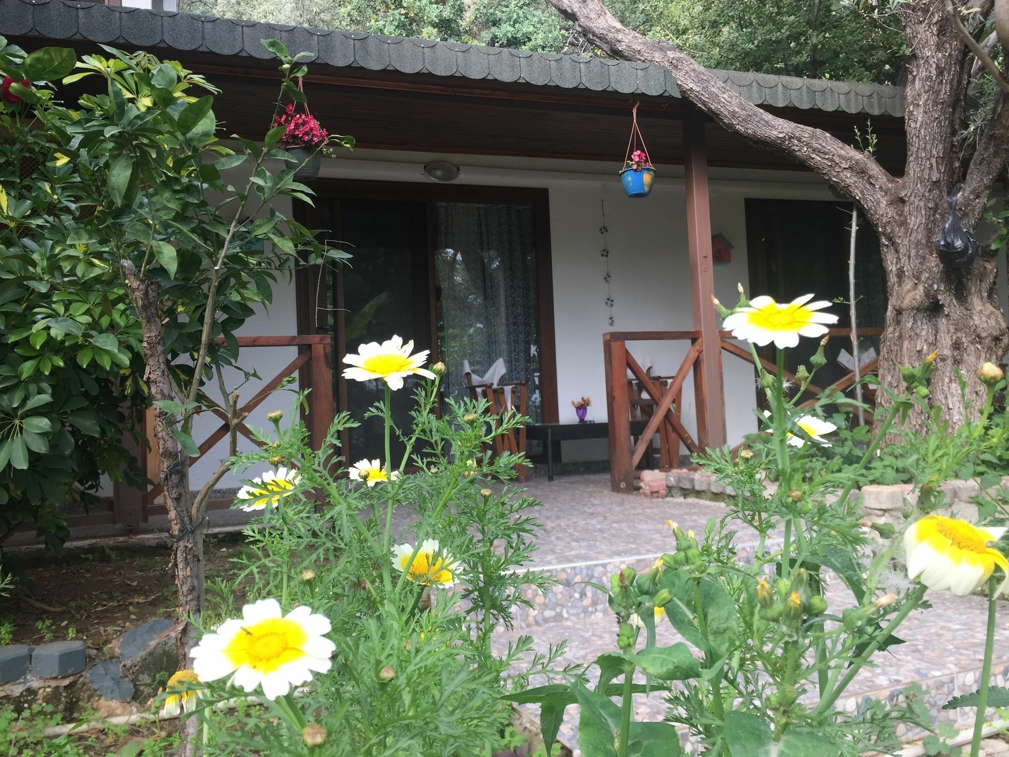 Lagoon Boutique Otel Oludeniz Exterior photo
